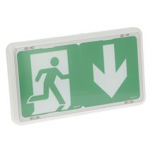 Legrand - BAES d'évacuation saillie IP43 IK07 plastique SATI adressable pour ERP et ERT Réf : 62625