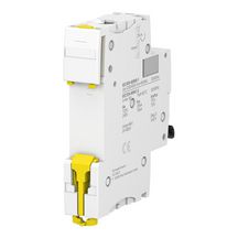 Ic60n disj 1p 10a courb b mg a9f76110